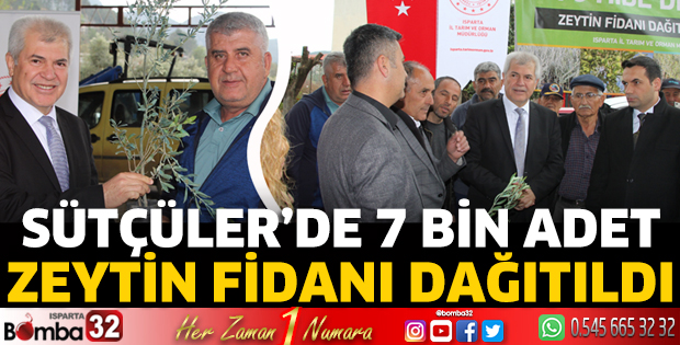 Sütçüler’de 7 bin adet zeytin fidanı dağıtıldı