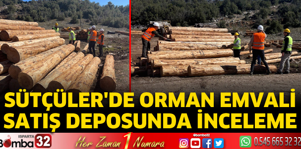 Sütçüler'de orman emvali satış deposunda inceleme
