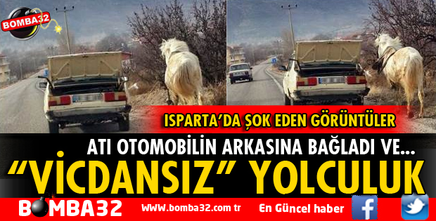 TAM BİR VİCDANSIZLIK