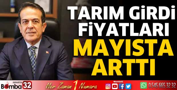 Tarım girdi fiyatları mayısta arttı