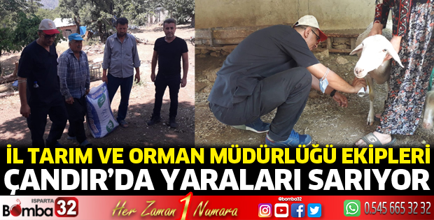 Tarım ve Orman Müdürlüğü ekipleri Çandır'da yaraları sarıyor