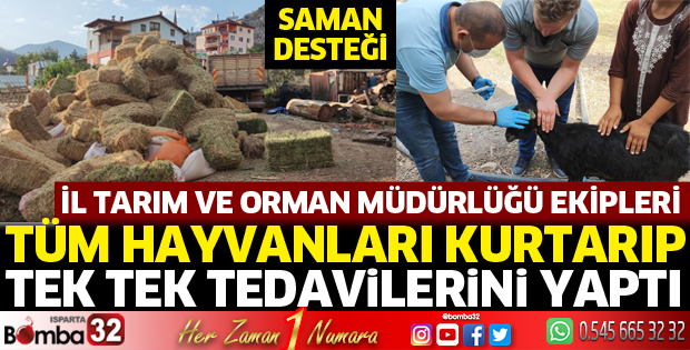 Tarım ve Orman Müdürlüğü ekipleri hayvanları kurtardı
