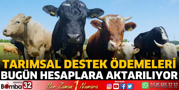 Tarımsal destek ödemeleri bugün hesaplara aktarılıyor