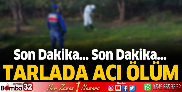 Tarlada acı ölüm