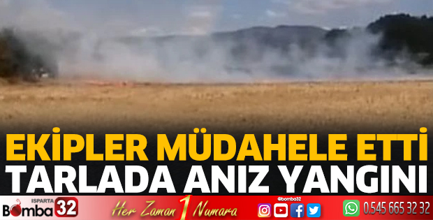 Tarlada anız yangını