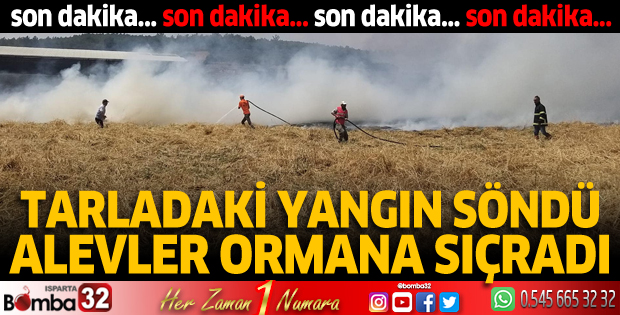 Tarlada çıkan yangın ormana sıçradı