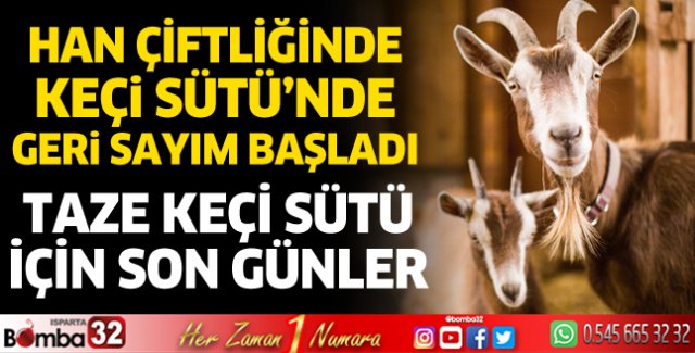 Taze keçi sütü için son günler