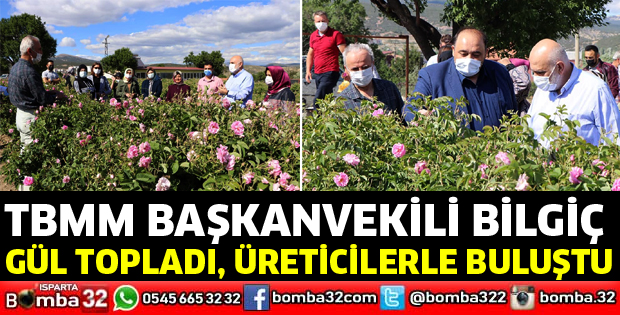 TBMM Başkanvekili Bilgiç gül bahçelerinde