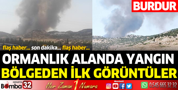 Tefenni ormanlık alanda yangın