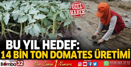  14 bin ton domates üretimi