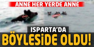  ANNE HER YERDE ANNE