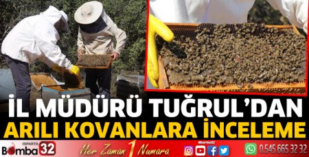  İl Müdürü Tuğrul’dan arılı kovanlara inceleme