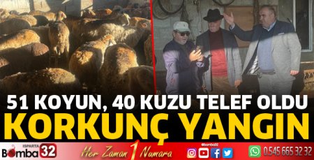  Yangında koyun ve kuzular telef oldu