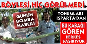 1 Metre 75 Santim Uzunluğundaki Kabak Şaşırttı
