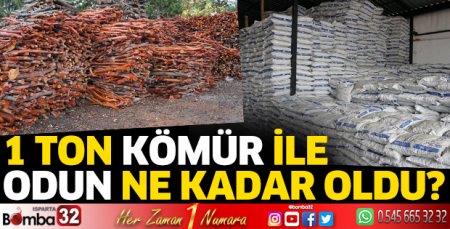 1 ton kömür ile odun ne kadar oldu?