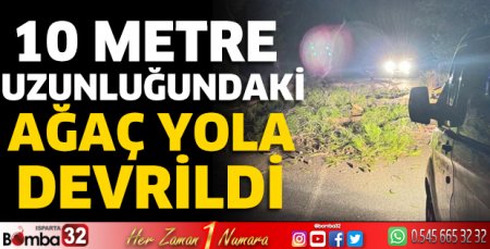 10 metre uzunluğundaki ağaç yola devrildi 