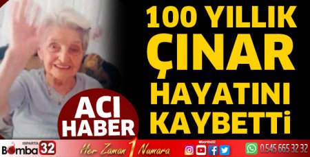 100 yıllık çınar hayatını kaybetti