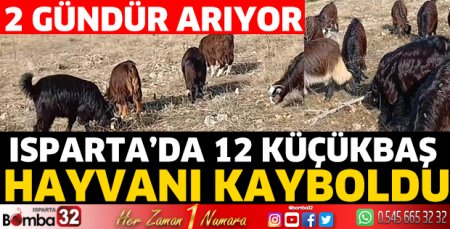 12 küçükbaş hayvanı kayboldu