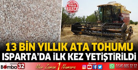 13 Bin yıllık ata tohumu Isparta’da ilk kez yetiştirildi