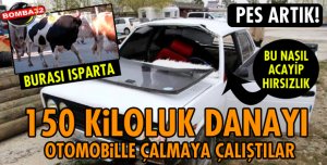 150 KİLOLUK DANAYI OTOMOBİLLE ÇALMAYA ÇALIŞTILAR