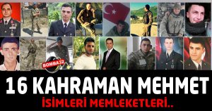 16 şehidimizin isimleri ve memleketleri belli oldu