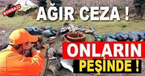 17 bin TL cezası var