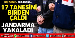17 TANESİNİ BİRDEN ÇALDI