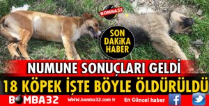 18 KÖPEĞİN NASIL ZEHİRLENDİĞİ ORTAYA ÇIKTI