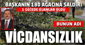 180 Adet Meyve Ağacı 1 Gecede Katledildi