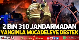 2 bin 310 jandarmadan yangınla mücadeleye destek