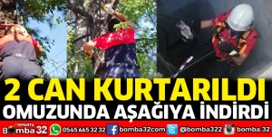 2 can kurtarıldı