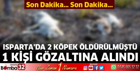 2 köpeğin öldürülmesiyle ilgili flaş gelişme