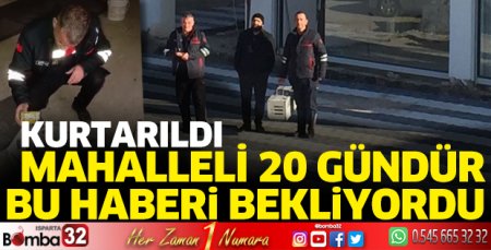 20 gündür çatıda mahsur kala kedi kurtarıldı