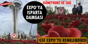 2000 ADET ŞAKAYIK RENK KATTI