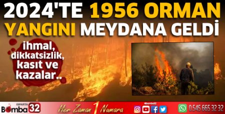 2024'te 1956 orman yangını çıktı