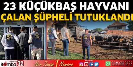 23 küçükbaş hayvanı çalan şüpheli tutuklandı