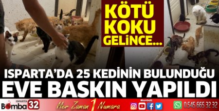 25 kedinin bulunduğu eve baskın yapıldı