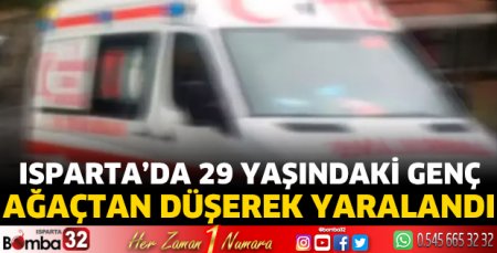 29 yaşındaki genç ağaçtan düşerek yaralandı 