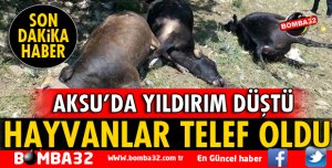 3 BÜYÜKBAŞ HAYVAN TELEF OLDU