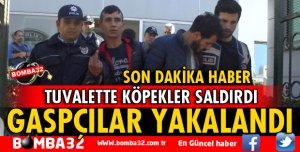 3 GASPÇI TUTUKLANDI