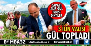 3 İLİN VALİSİ GÜL TOPLADI