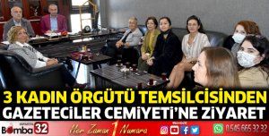 3 Kadın Örgütü Temsilcisinden Gazeteciler Cemiyetine ziyaret