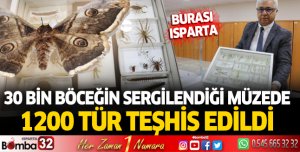30 bin böceğin sergilendiği müzede 1200 tür teşhis edildi