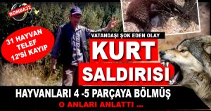 31 hayvan telef oldu