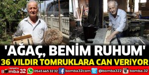 36 yıldır tomruklara can veriyor