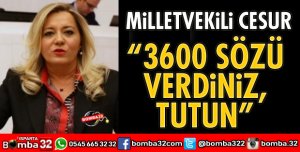 3600 SÖZÜ VERDİNİZ, TUTUN AÇIKLAMASI