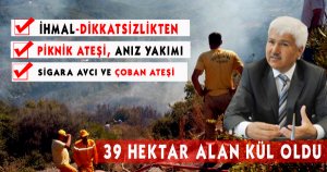 39 Hektar Alan Kül Oldu