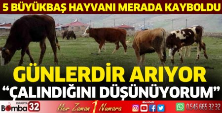 5 Büyükbaş hayvanı merada kayboldu