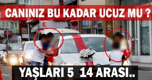 5 TL için canlarını hiçe sayıyorlar
