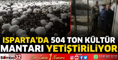 504 ton kültür mantarı yetiştiriliyor